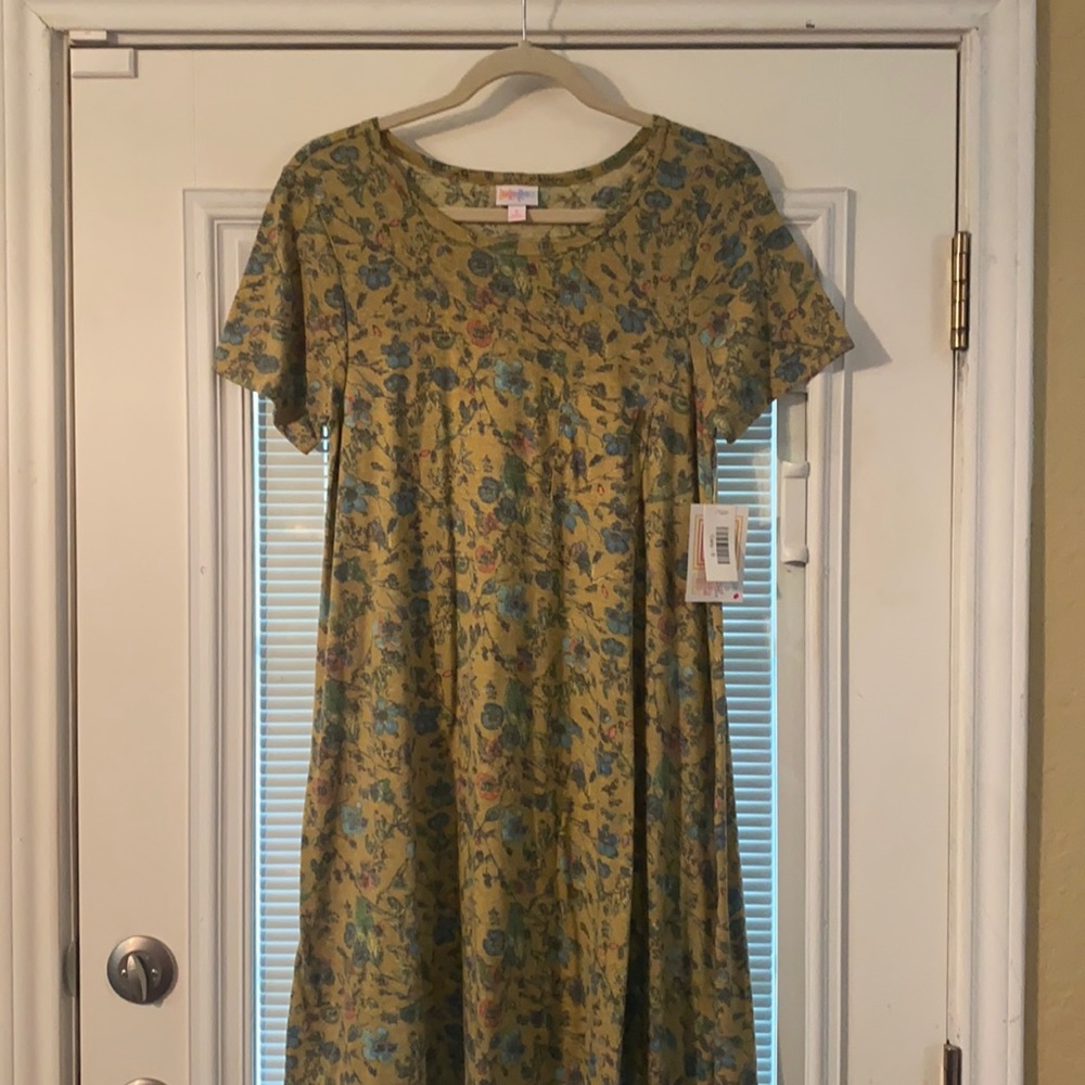LuLaRoe Carly Dress!
